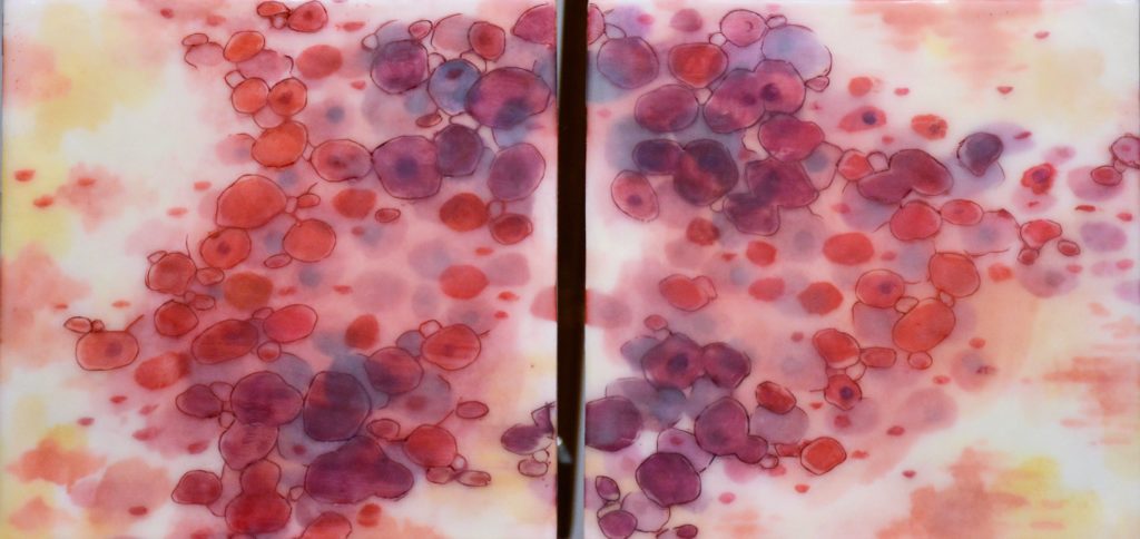 Cells D Shively, Encaustic, Mixed Media $380 LL